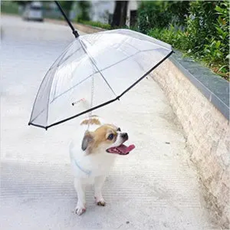 Pet Umbrella Leash