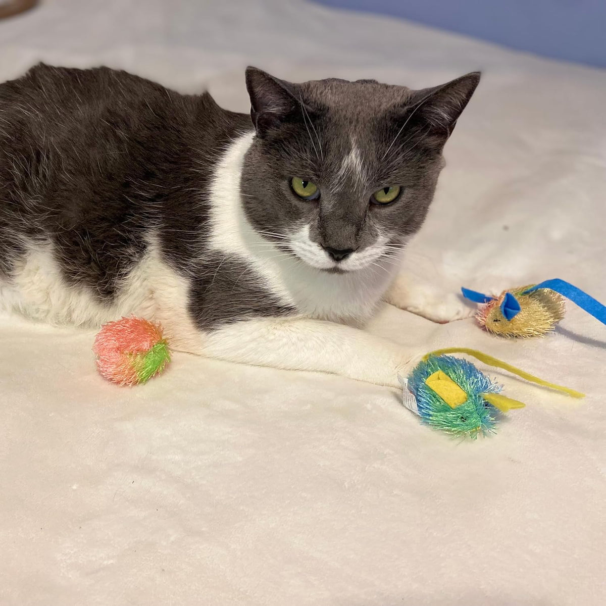 Stringy Mice & Balls - Catnip Cat Toys, Interactive, Colorful Plush Toys, Fun for Cats and Kittens to Bat and Chase, Boredom Buster - 2 Mice, 2 Balls