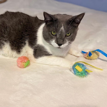 Stringy Mice & Balls - Catnip Cat Toys, Interactive, Colorful Plush Toys, Fun for Cats and Kittens to Bat and Chase, Boredom Buster - 2 Mice, 2 Balls