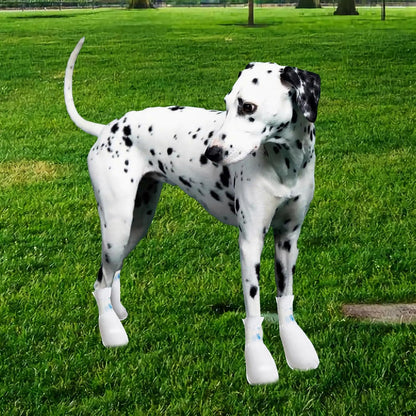 Disposable Dog Boots, 40 Pack (Size M)