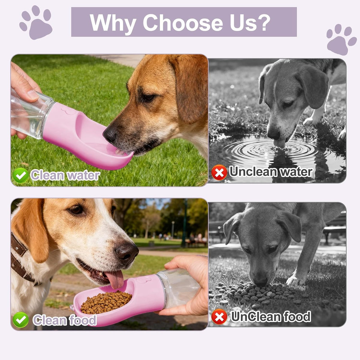 2-in-1 Portable Dog Water Bottle & Bowl with Food Container
