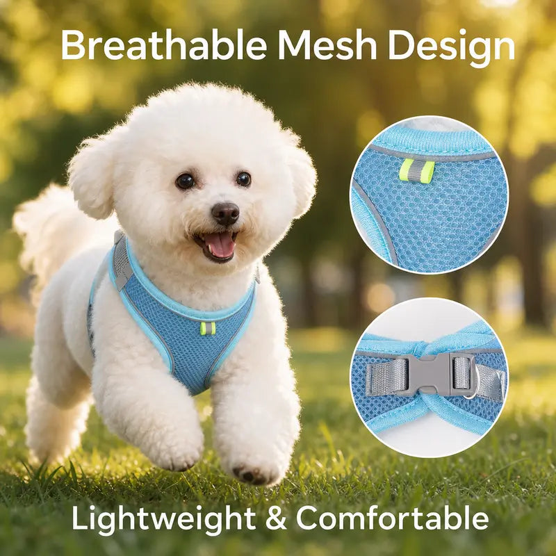 Breathable Mesh Dog Cat Harness and Leash Set - No Pull Escape Proof Pet Vest with Reflective Strip for Small Medium Dogs Cats - Adjustable Soft Padded Harness for Walking Training