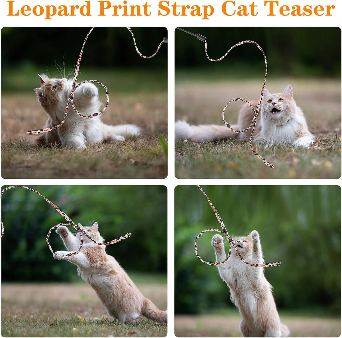 Cat Wand Rainbow Toy, 5Pcs Rainbow Ribbon for Kittens Training