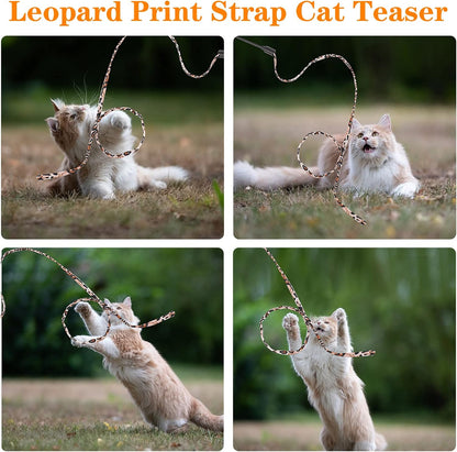 Cat Wand Rainbow Toy, 5Pcs Rainbow Ribbon for Kittens Training