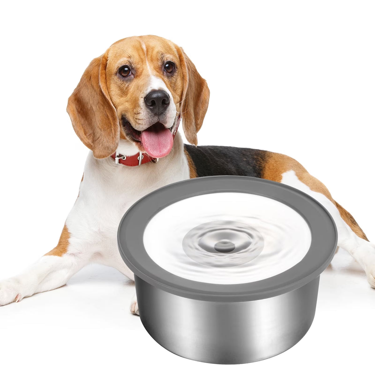 No-Spill Stainless Steel Dog Water Bowl (70 oz)