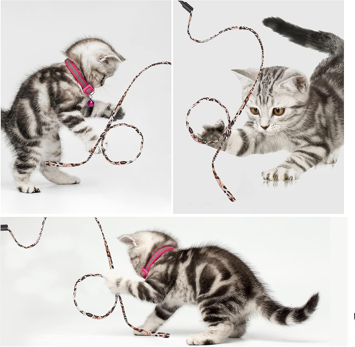 Cat Wand Rainbow Toy, 5Pcs Rainbow Ribbon for Kittens Training