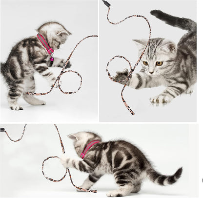 Cat Wand Rainbow Toy, 5Pcs Rainbow Ribbon for Kittens Training