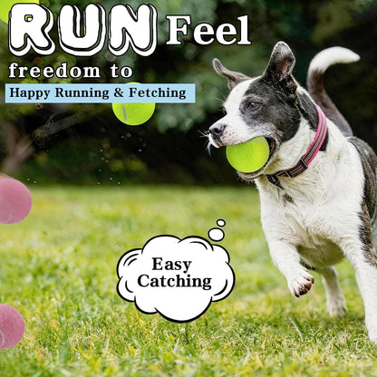 Tennis Balls for Dogs,Colorful Easy Catching Dog Balls,4 Pack