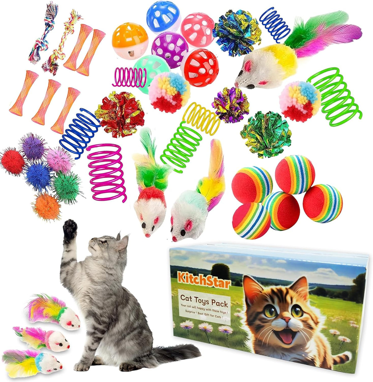 46 PCS Cat Toys for Indoor Cats, Kitten Toys with Mint Catnip for Kittens
