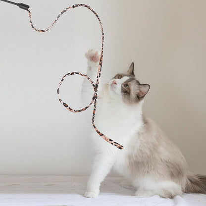 Cat Wand Rainbow Toy, 5Pcs Rainbow Ribbon for Kittens Training