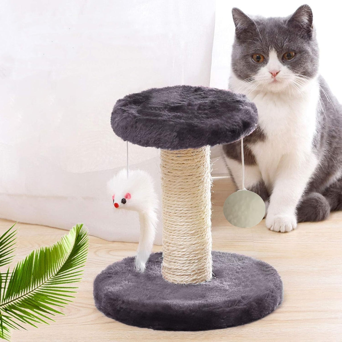 Small Cat Scratching Post and Small Cat Tree Natural Sisal Tower with round Perch and Plush Ball Furniture Made for Small Cat, Kitten Relax Tree