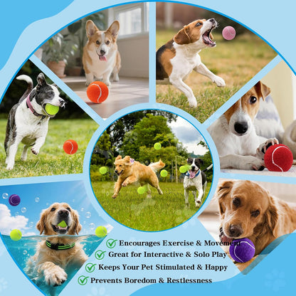 Tennis Balls for Dogs,Colorful Easy Catching Dog Balls,4 Pack