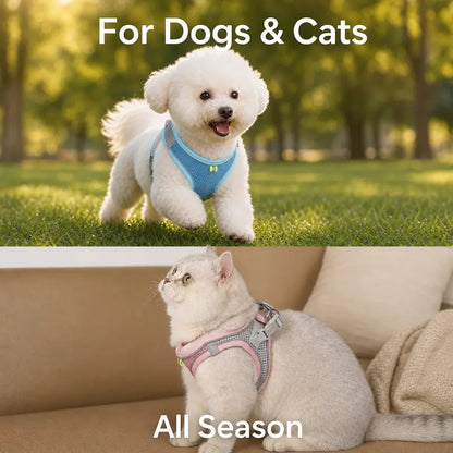 Breathable Mesh Dog Cat Harness and Leash Set - No Pull Escape Proof Pet Vest with Reflective Strip for Small Medium Dogs Cats - Adjustable Soft Padded Harness for Walking Training