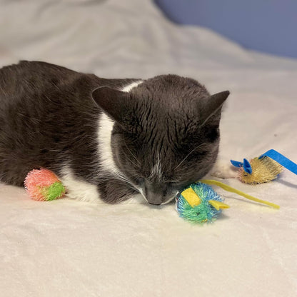 Stringy Mice & Balls - Catnip Cat Toys, Interactive, Colorful Plush Toys, Fun for Cats and Kittens to Bat and Chase, Boredom Buster - 2 Mice, 2 Balls