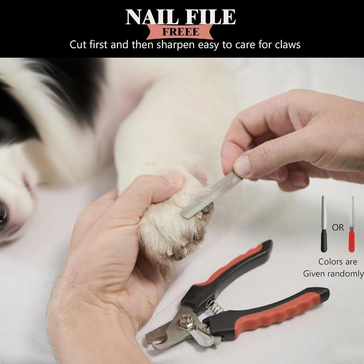Dog Nail Clippers and Trimmers with Safety Guard for Large Dogs