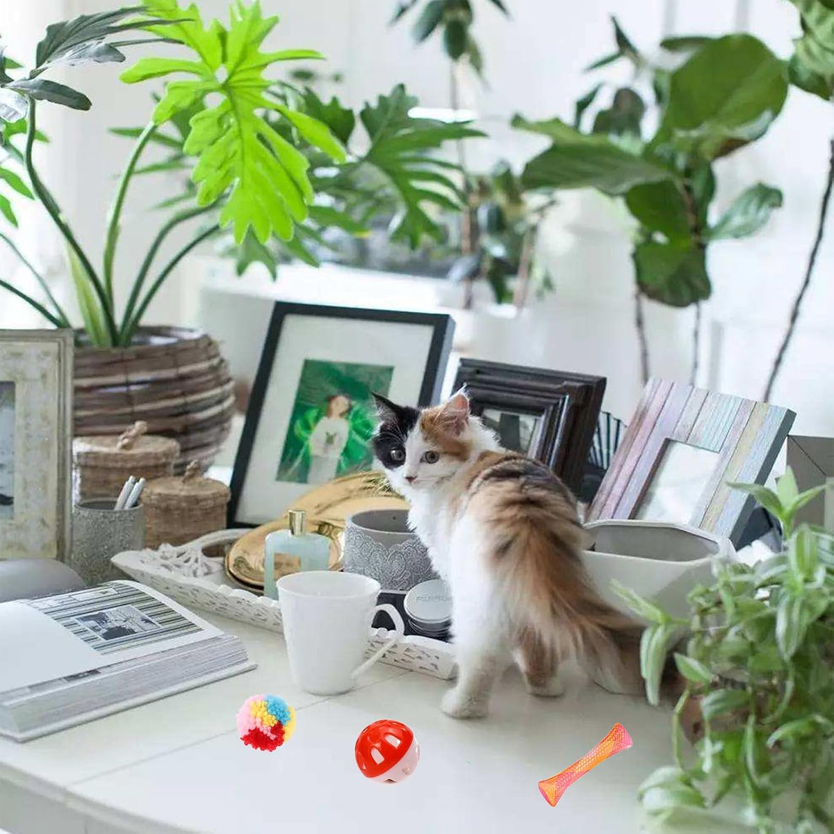 46 PCS Cat Toys for Indoor Cats, Kitten Toys with Mint Catnip for Kittens