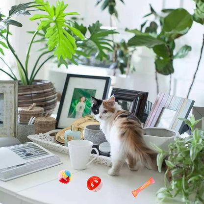 46 PCS Cat Toys for Indoor Cats, Kitten Toys with Mint Catnip for Kittens